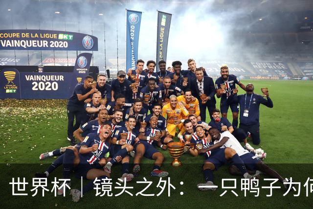 世界杯｜镜头之外：一只鸭子为何火遍世界杯？